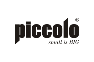 Partners of Global Smart Systems 